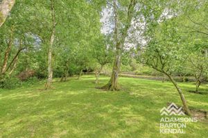 Photo 19- click for photo gallery